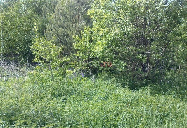 Участок 8 соток в СНТ, 87 км отмкад,Щелковск.напр Киржач