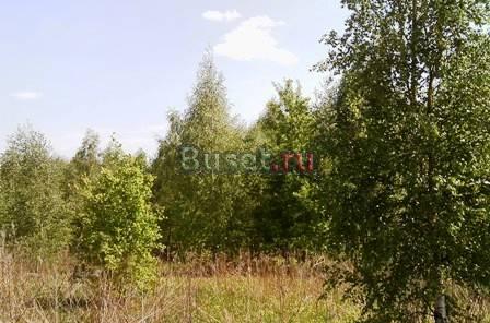 17 соток + свет15кВт + газ + лесные деревья Серпухов