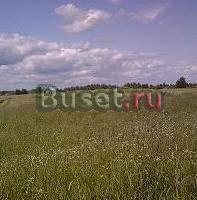 Участок у реки Волхов 150 км южнее спб Кириши