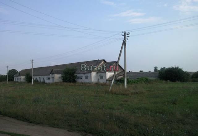 Животноводческая ферма Краснодар