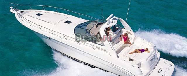 Tatom Olive Самара