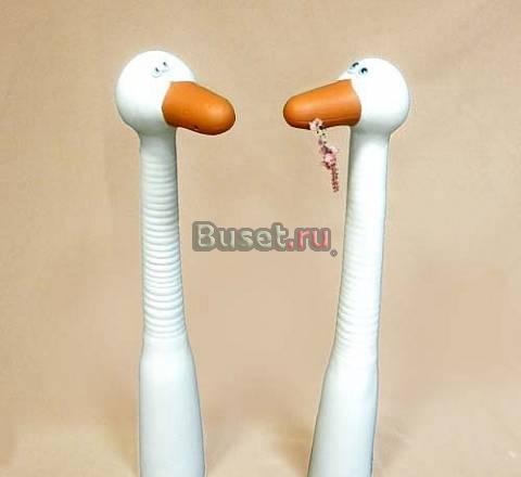 Гусь -шея Новосибирск