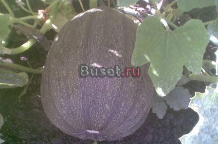 Участок с фундаментом и колодцем.Выгодно Воскресенск