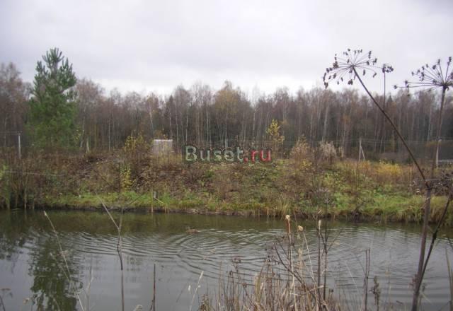 Киевское ш 95 км от МКАД Москва