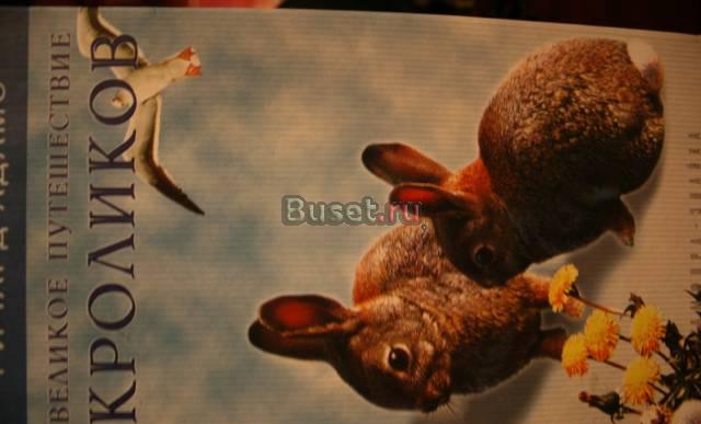 Книга "великое путешествие кроликов" Москва