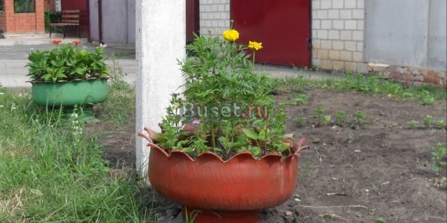 Ваза для цветов Белгород