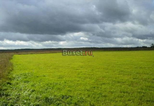 Участок 557соток, 120км от МКАД Москва