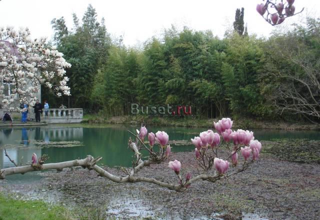 Адлер,Абхазия Москва