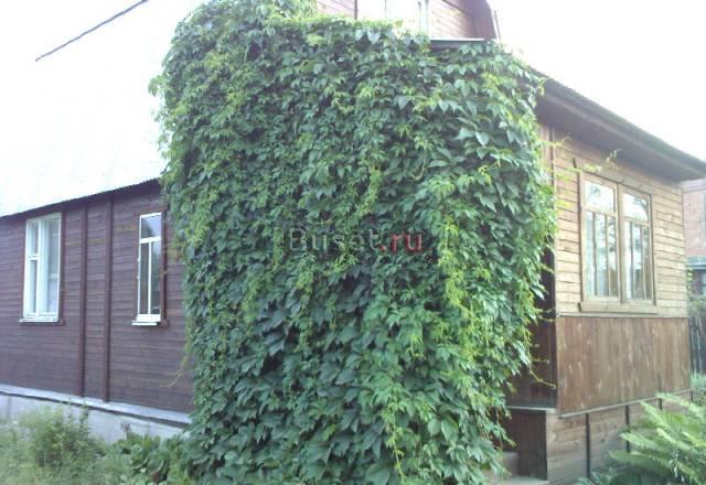 Хророшая дача в й продаже Павловский Посад