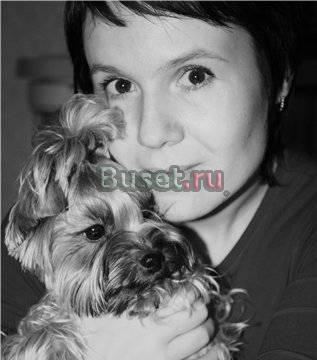 Стрижка собак мелких пород Москва