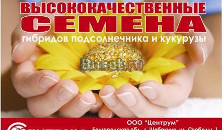 Гибрид подсол-ка Драган, Титаник, итд Шебекино