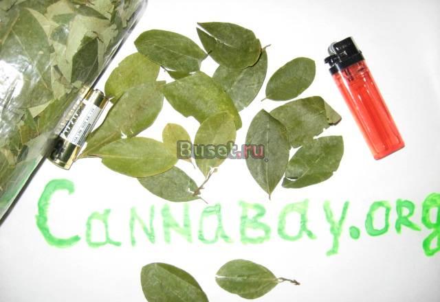 Чай инков Москва