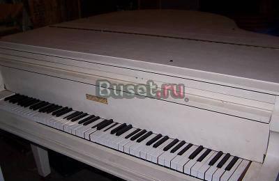 Yamaha CP300 88-Key Digital Piano Светлогорск