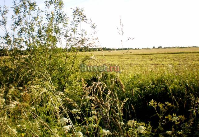 Продам 100 соток земли в 50 км от СПб, Кировский р Санкт-Петербург