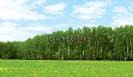 Участок 10 соток по  Симферопольскому направлению Москва