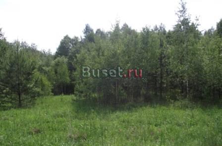 Земельный участок возле озера Вашутино Переславль-Залесский