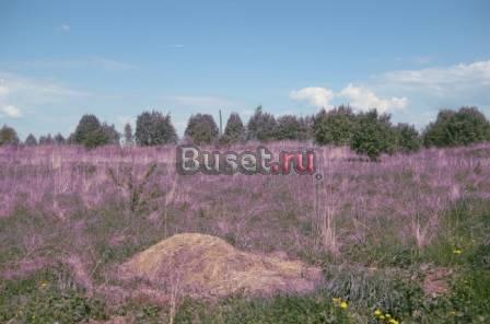 Участок недалеко от г. Сергиев-Посада Переславль-Залесский