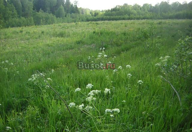 Участок 8,2 га Любань