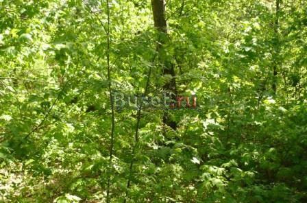 Продается  участок 7 сот. , н Москва