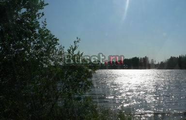 Участок в садоводстве рядом с карьером Санкт-Петербург