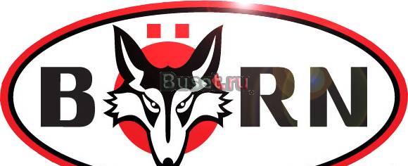 Автокресла born  (Чебоксасары) Нижний Новгород