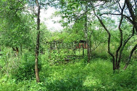 Продам садовый участок 5.5 соток Чеховск Москва