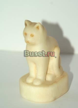 Кошка Санкт-Петербург