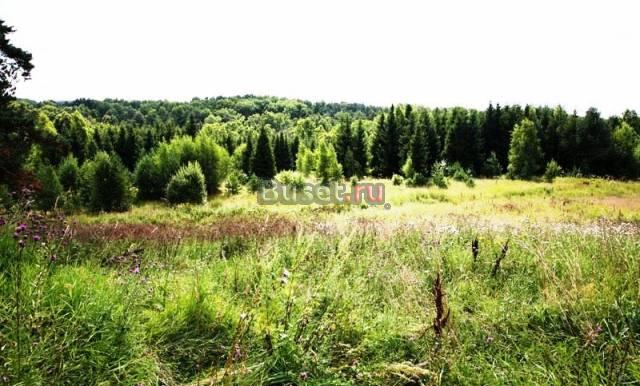 Земли от 6 соток, от 20 тыс рублей за сотку Москва