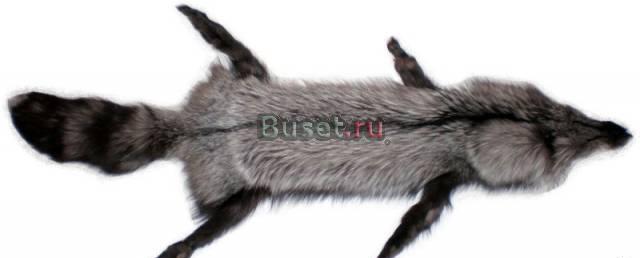 Поставляем меха норки, песца, соболя, енотовидной Владивосток