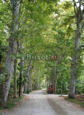 Земля в Королеве Москва