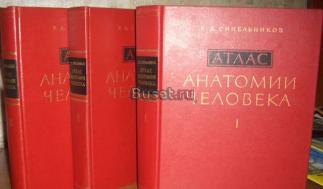 Атлас анатомии человека Саратов