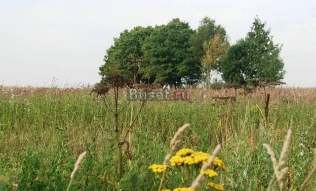 Участок 15 сот. пмж, Ярославс Москва