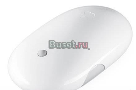 Apple Mouse беспроводная Санкт-Петербург
