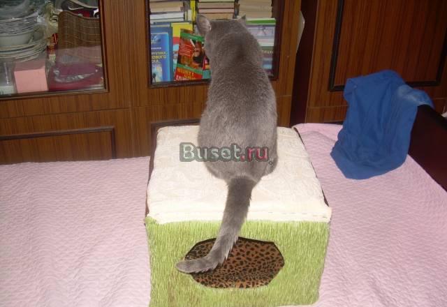 Домик для кошки,собачки Москва