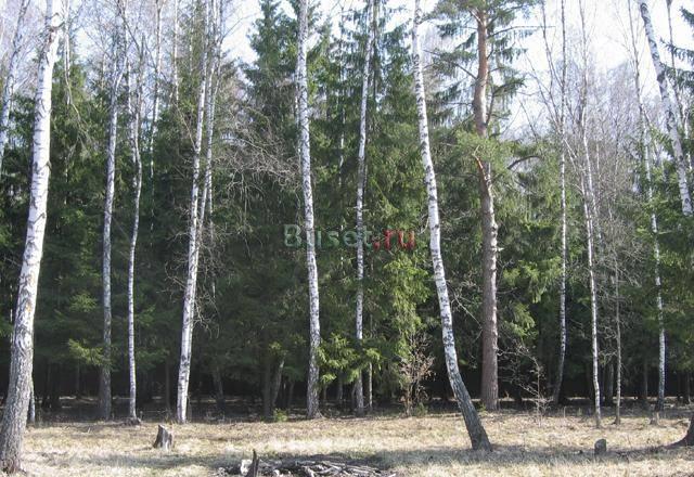 Продается  участок 20 сот. , к Москва