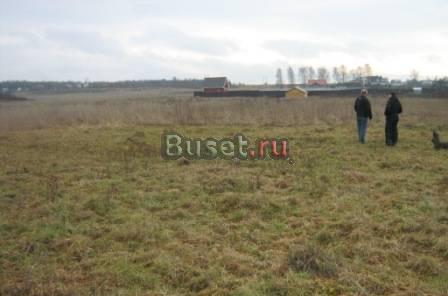 Участок 55 км от МКАД по Дмитровке Москва