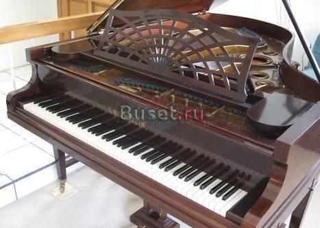 1896 Bechstein B Москва