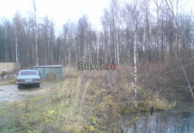 Садоводство Красногорское (Красное село) участок Красное Село