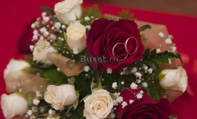 Фотосъемка, видеосъемка свадеб Саратов