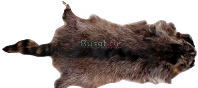 Поставляем меха норки, песца, соболя, енотовидной Владивосток
