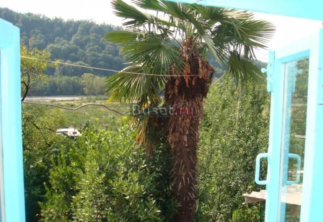 Участок 15 соток с домом Сочи