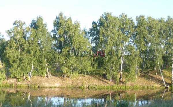 15 соток Серпухов