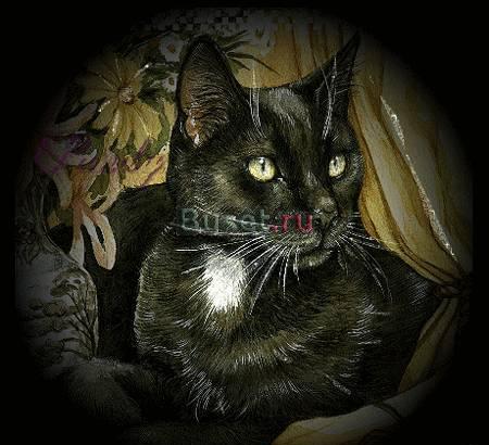 Массаж для мужчин Москва