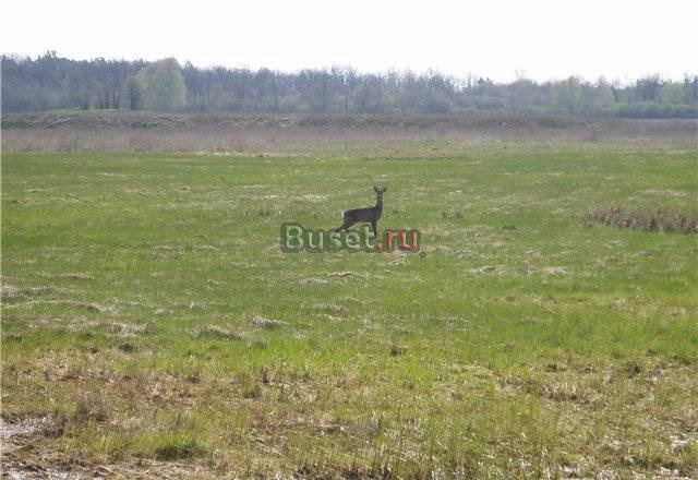 Участок окруженный рекой 87 км от Москвы Москва