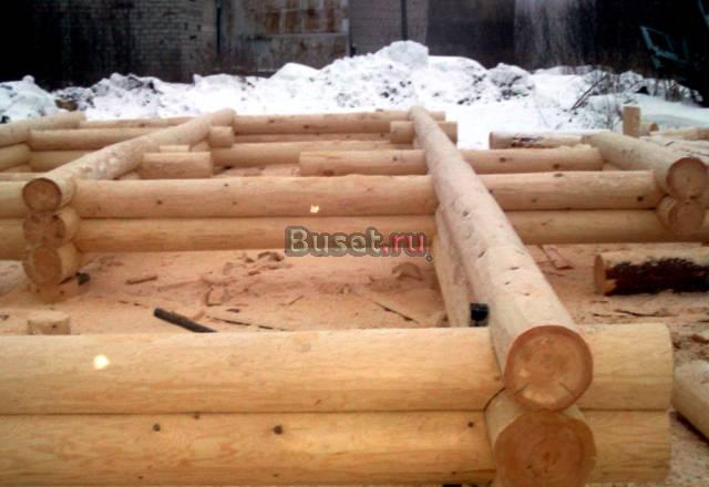 Срубы из зимнего леса Вологодской обл Санкт-Петербург