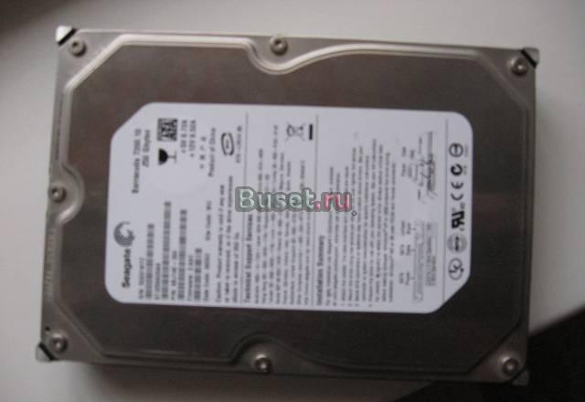 Винтчестер Seagate 250 GB sata Москва