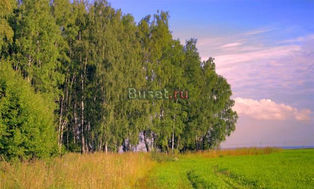 Участок 6-15 сот 10км от МКАД по Егорьевскому ш Москва