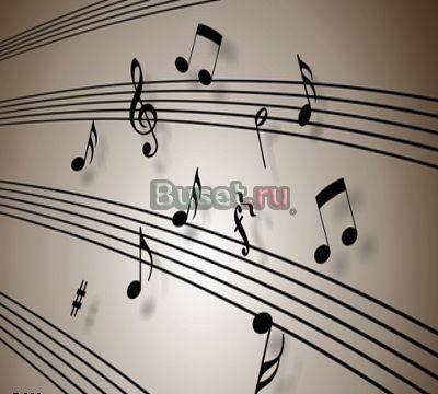 Настройка Ремонт Оценка пианино Консультации Москва