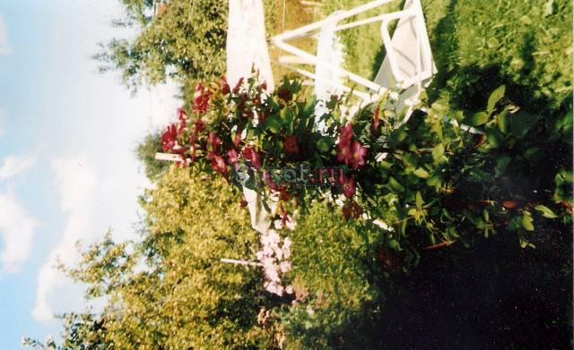 Дача на лето Симферополськое шоссе Москва