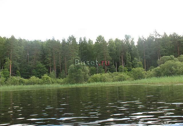 Участок на о.Селигер,первая линия Москва